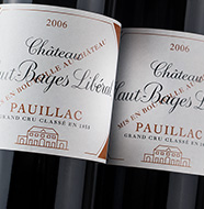 Haut Bages Liberal 2017 12 pack